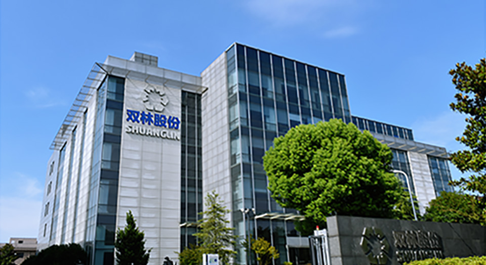 HJC888黄金城印象